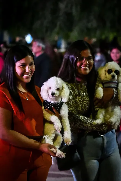 Dia del Animal Tinogasta - 19