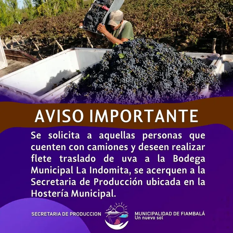Inicio de molienda de Uvas - 03