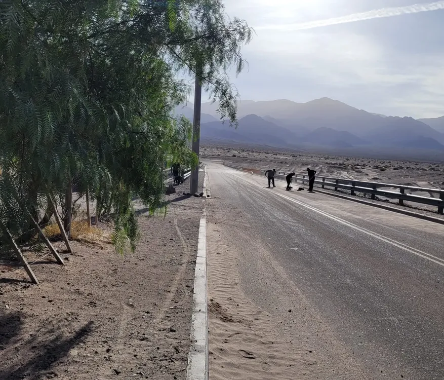 Trabajos de limpieza Camino a Las Termas - 04