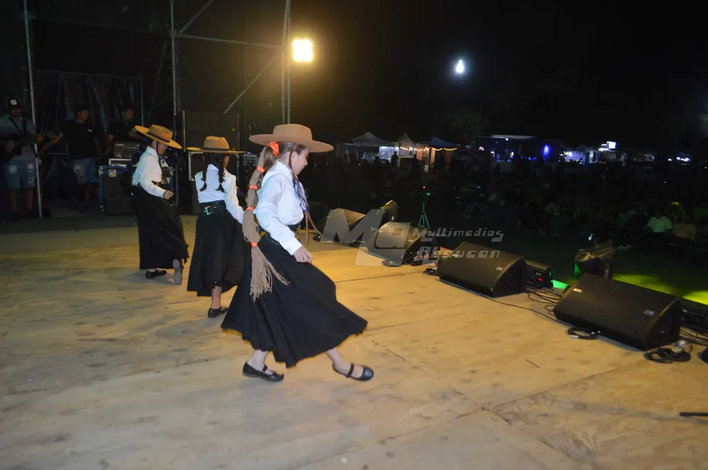 Festival Fiambala - 02