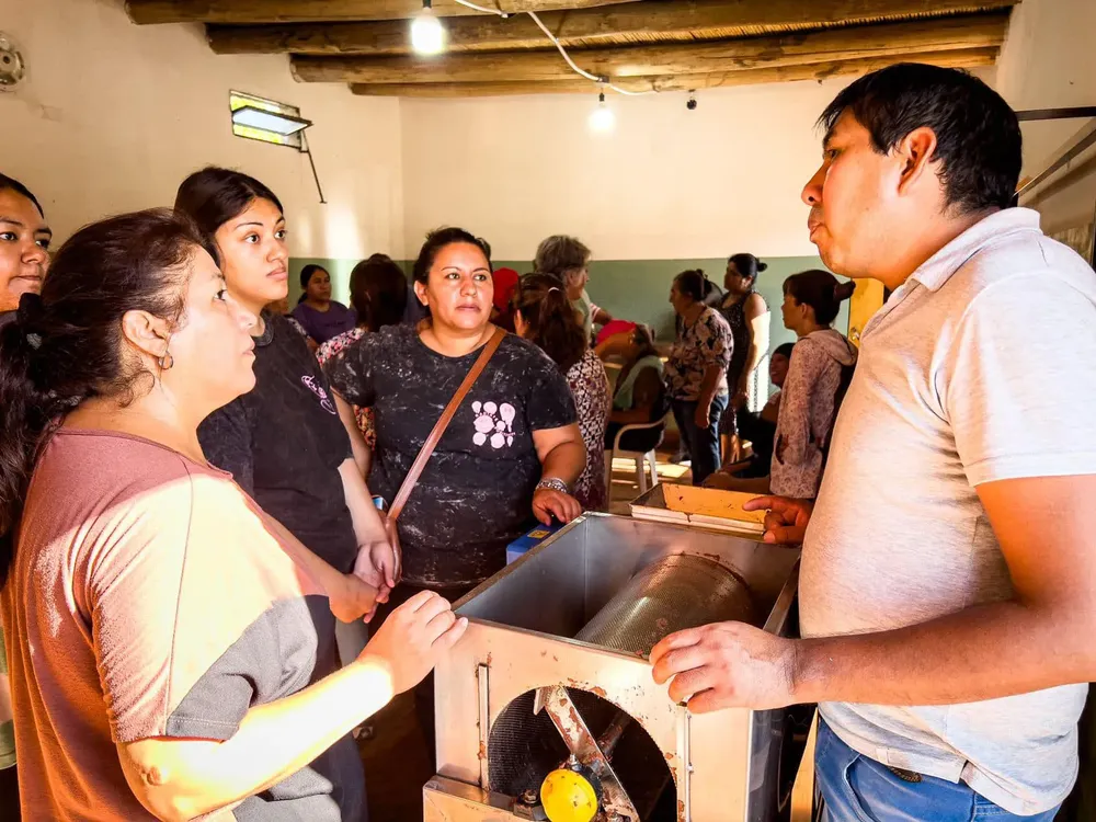 Chañar Tinogata - 08