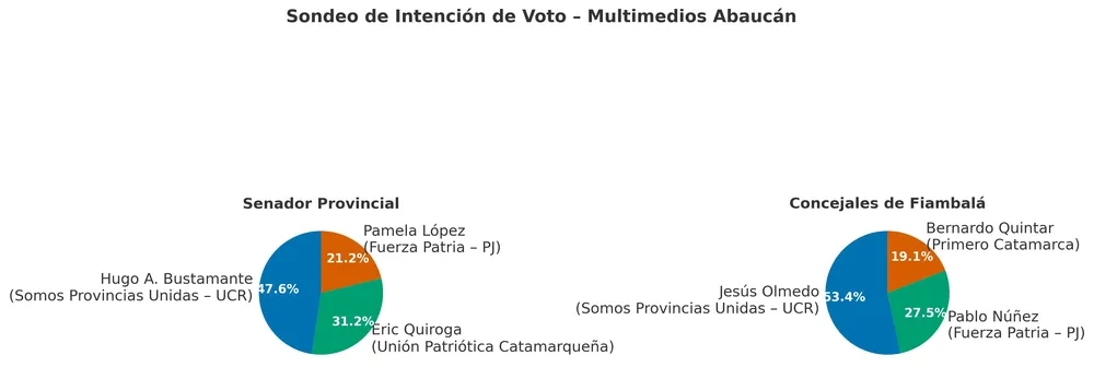 Sondeo Elecciones 2025