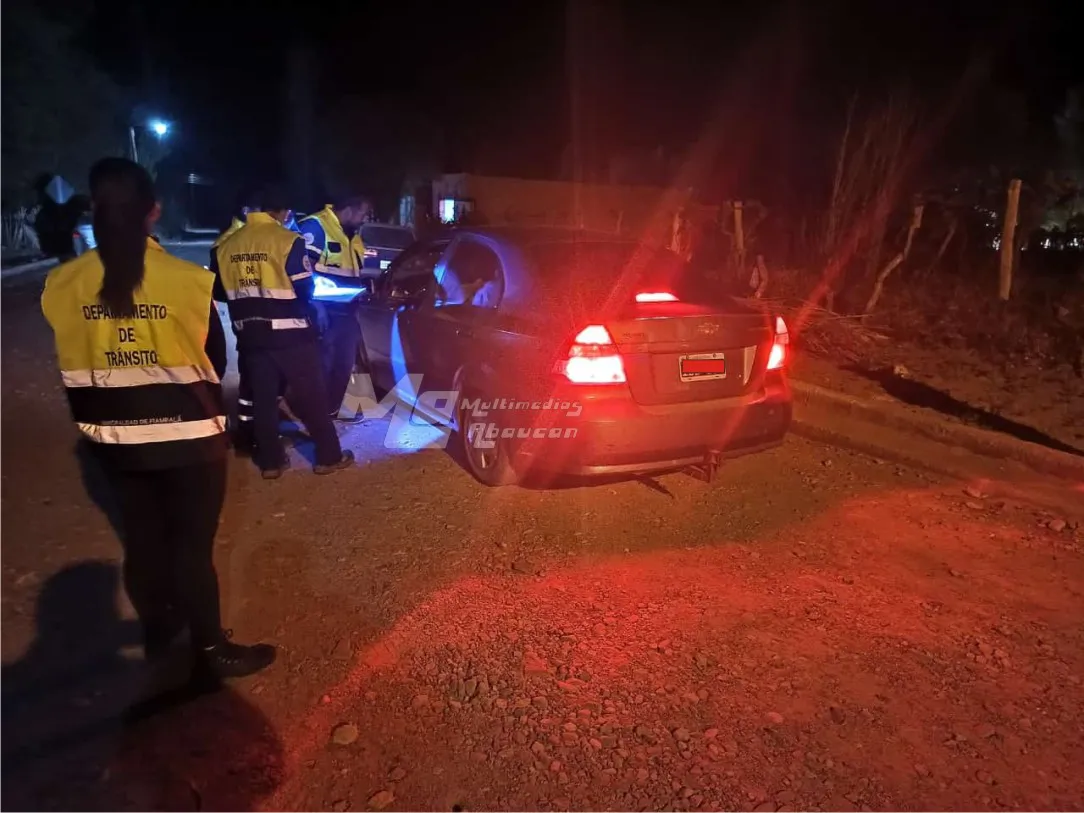 Controles en Palo Blanco - (1)