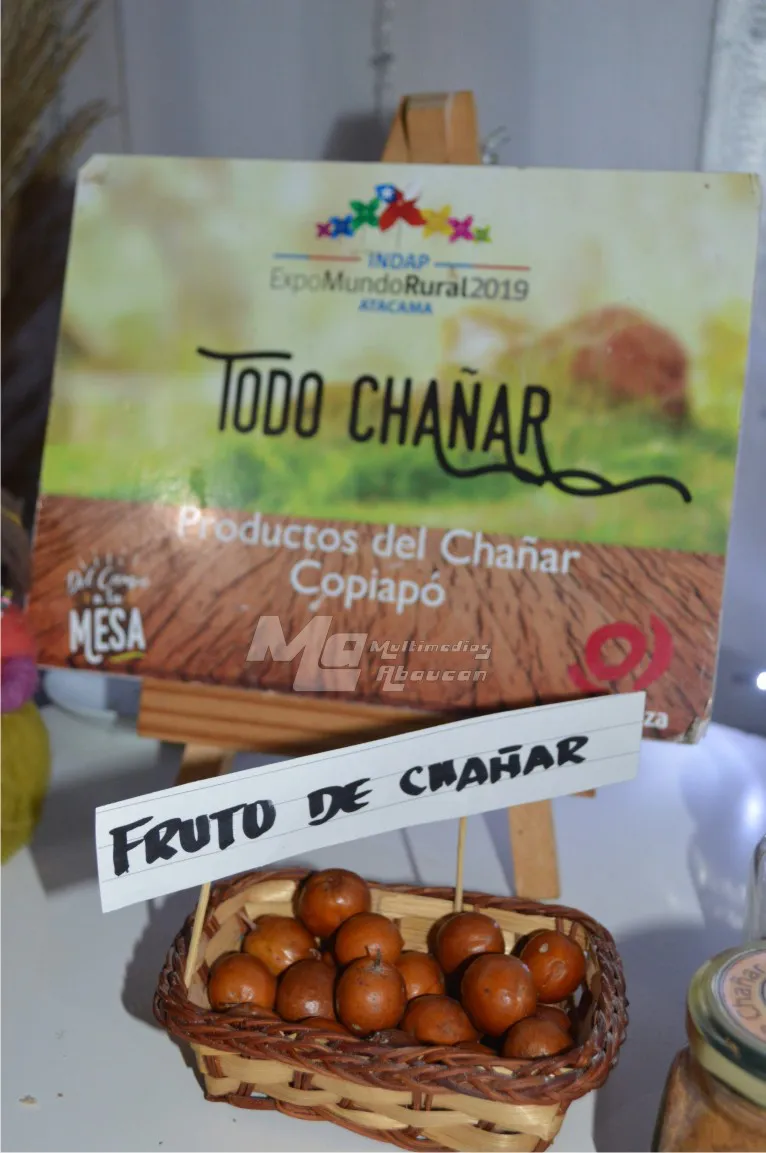 El Chañar puesta en valor - 36