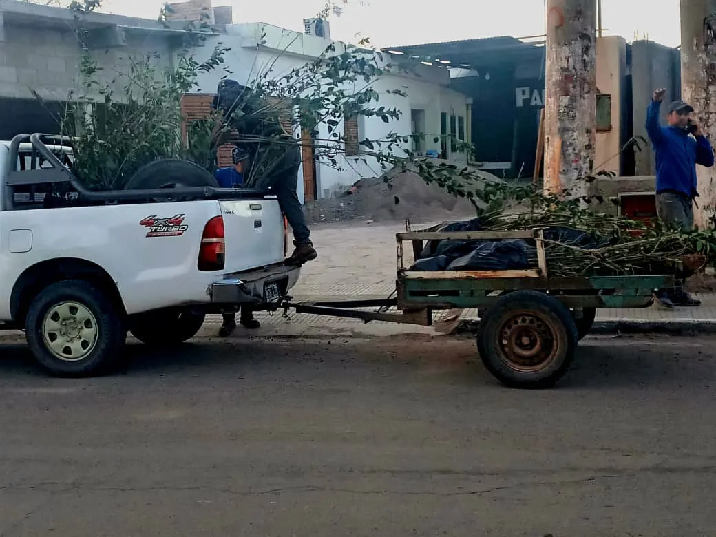 Pasto para produccion - 05