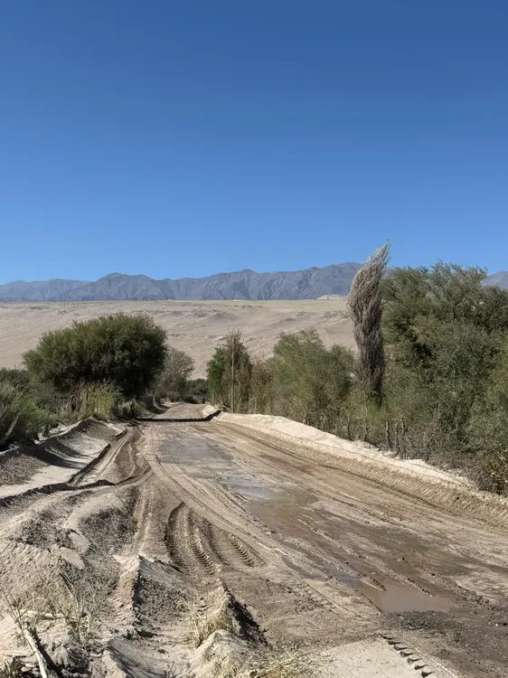 Mejoras en Medanitos - 04