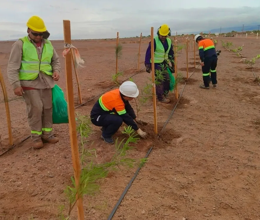 Programa de Forestacion - Zijin Liex - 03