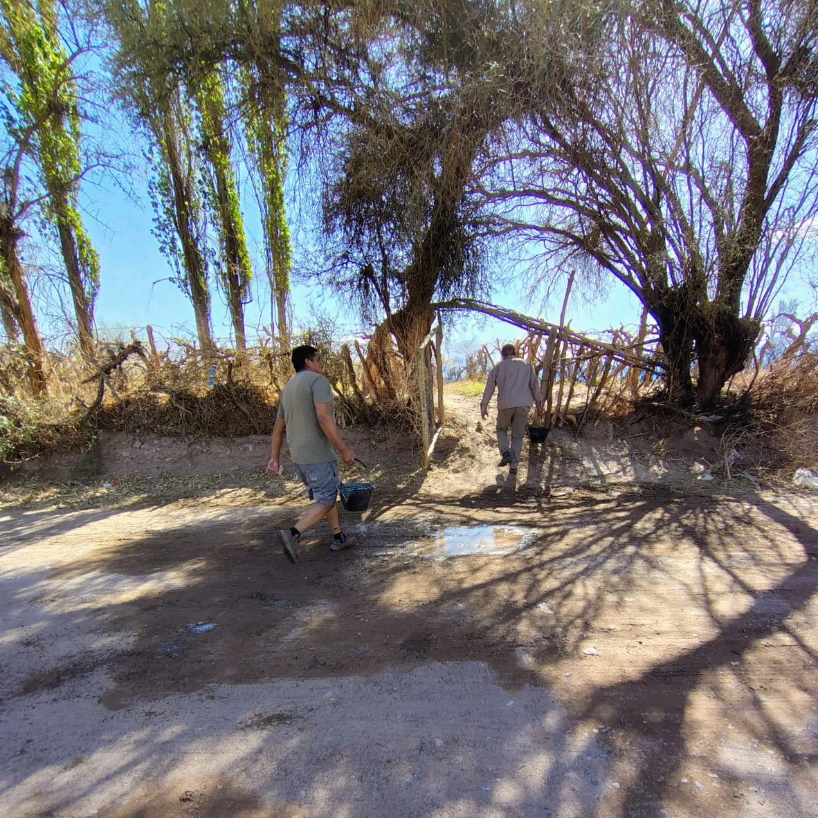 Incendio Barranco - 06