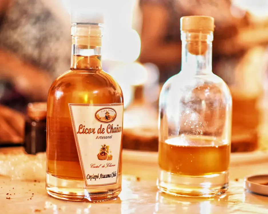 Chañar Tinogata - 14