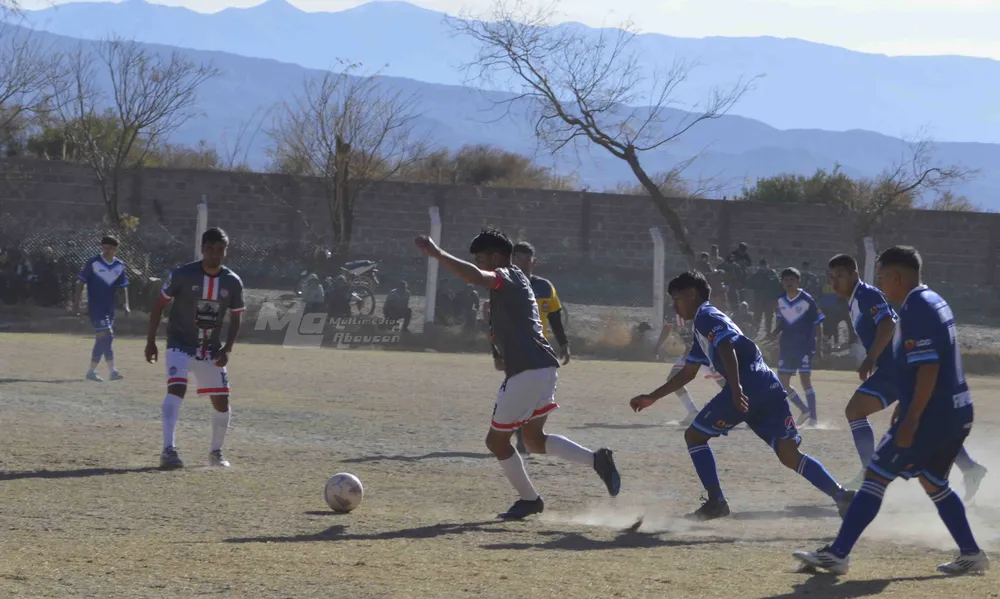 Andino - San Martin - 02