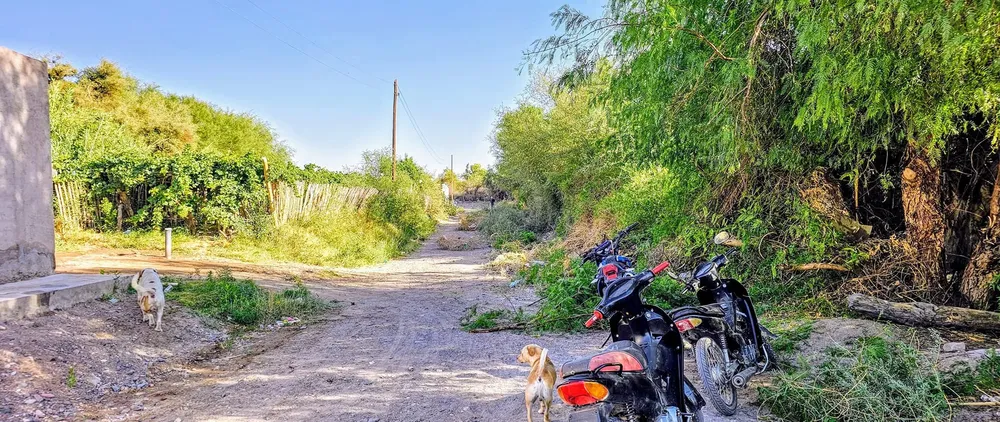 Limpieza Barrio El Libertador - 02