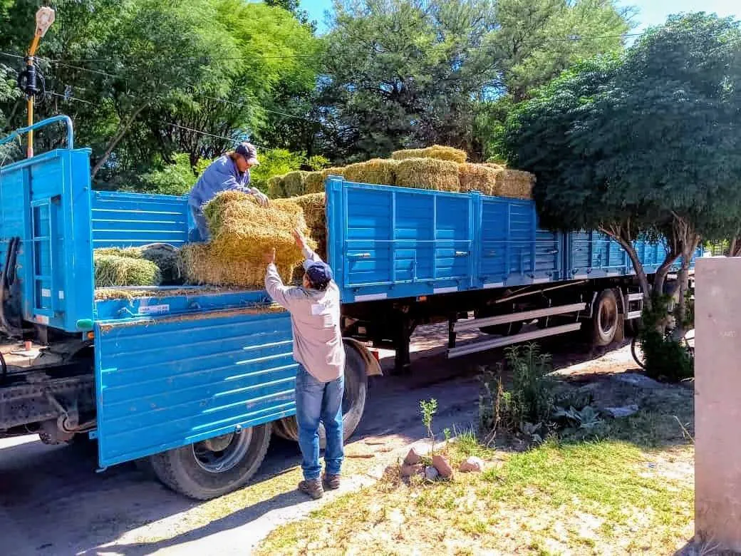Entrega de Pasto en el norte - 01