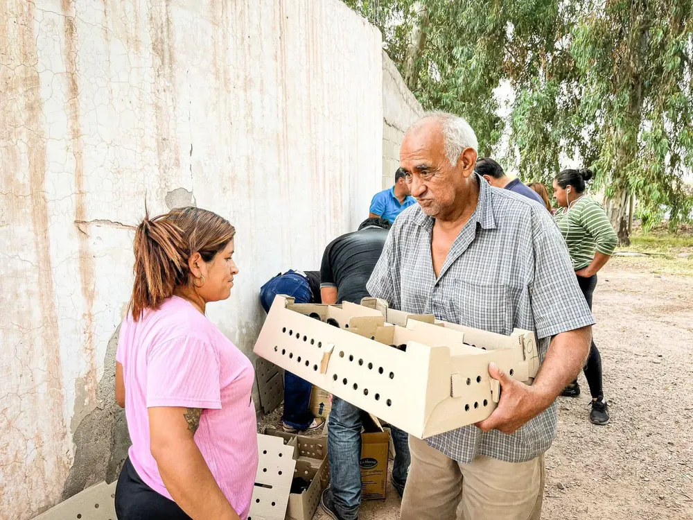 Cadena Avicola en Tinogasta - 09