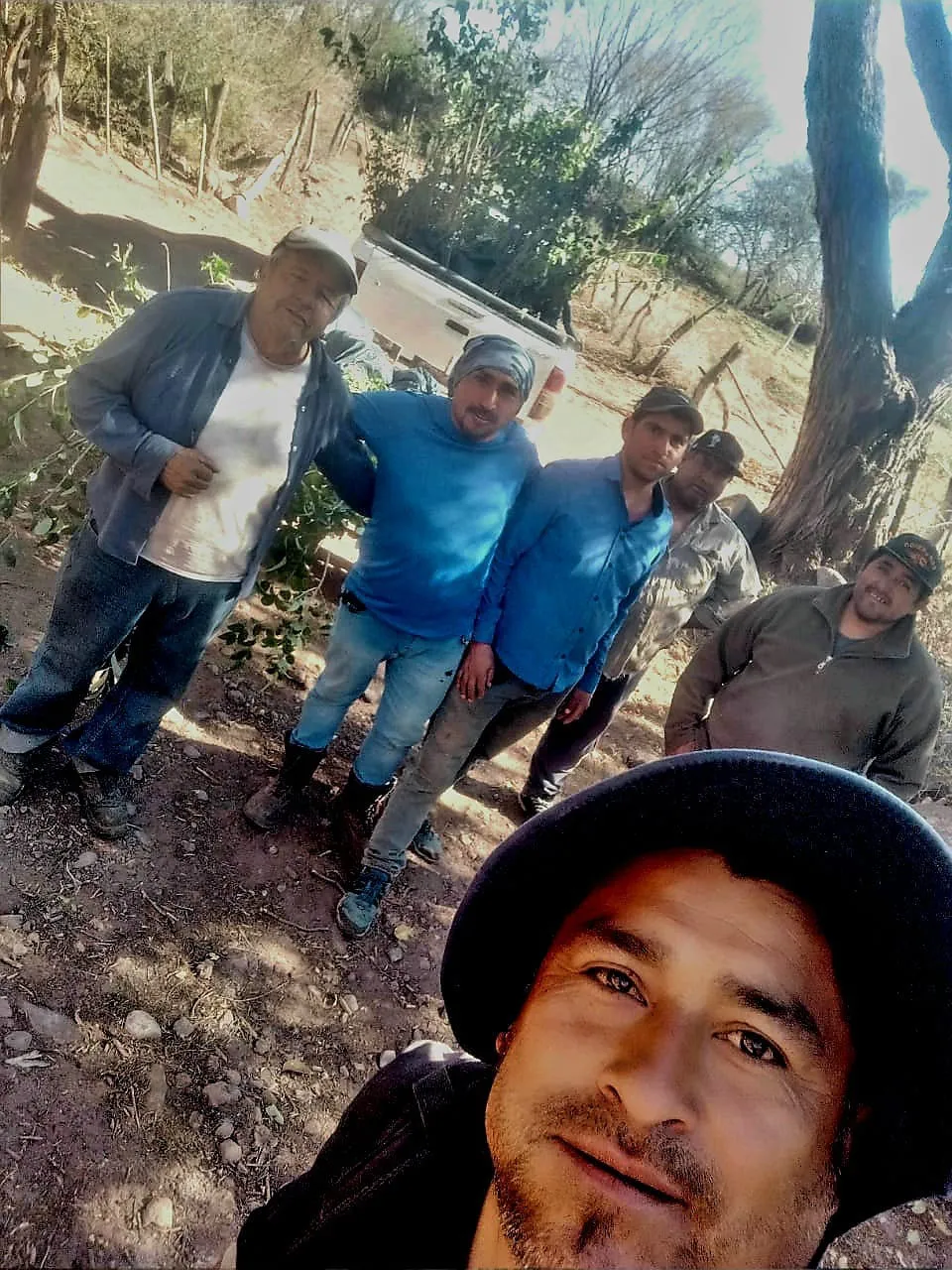 Pasto para produccion - 06